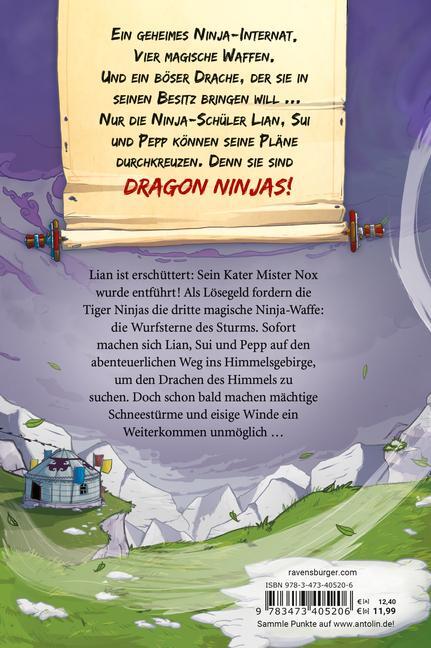 Bild: 9783473405206 | Dragon Ninjas, Band 3: Der Drache des Himmels | Michael Petrowitz