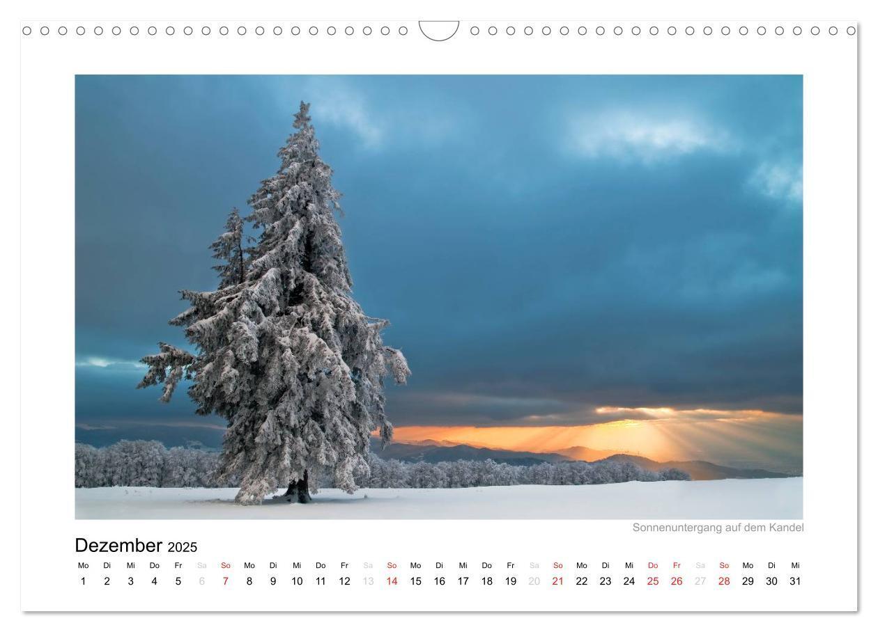 Bild: 9783435817924 | Schwarzwald 2025 (Wandkalender 2025 DIN A3 quer), CALVENDO...