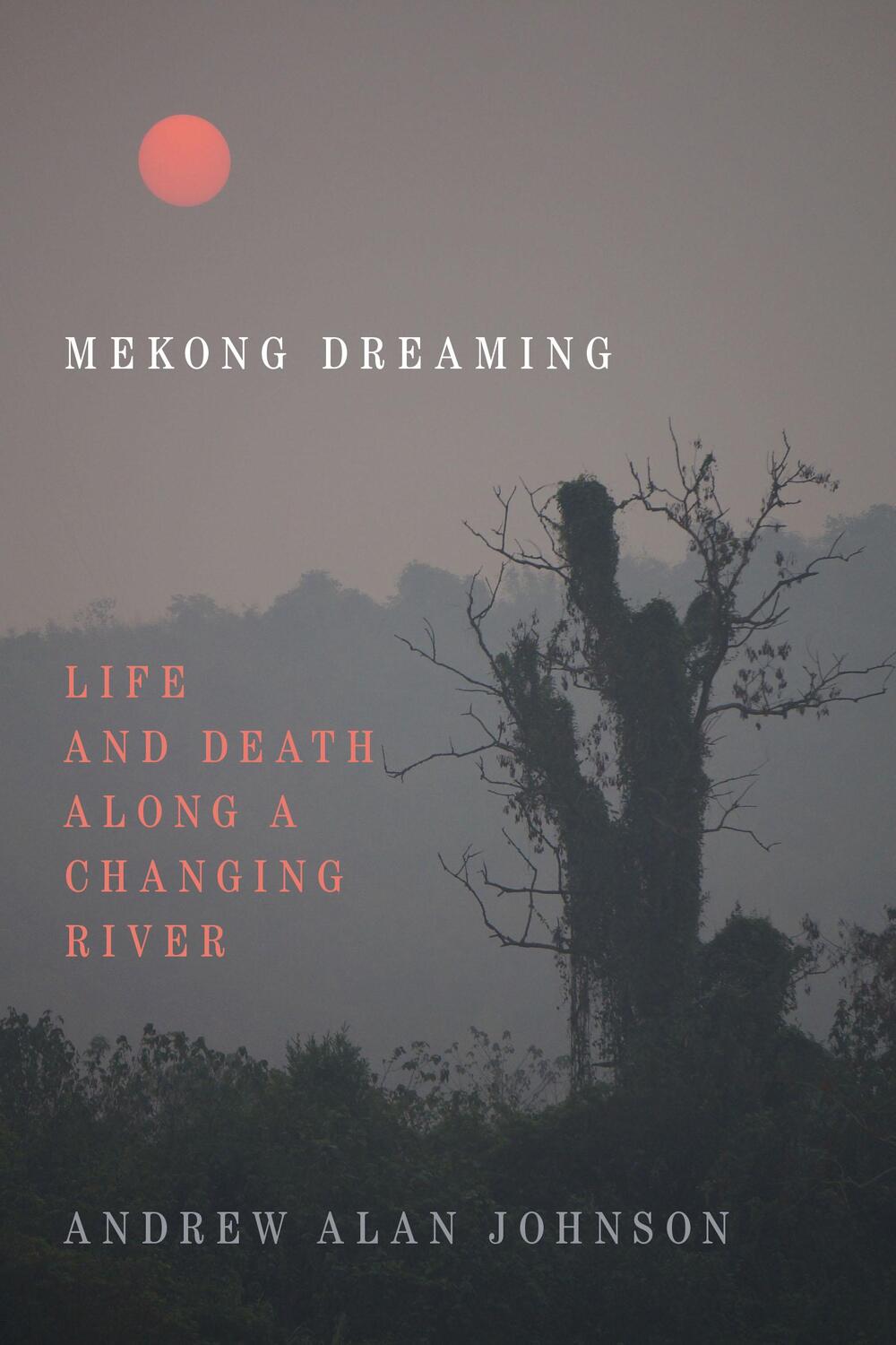Cover: 9781478010821 | Mekong Dreaming | Life and Death along a Changing River | Johnson