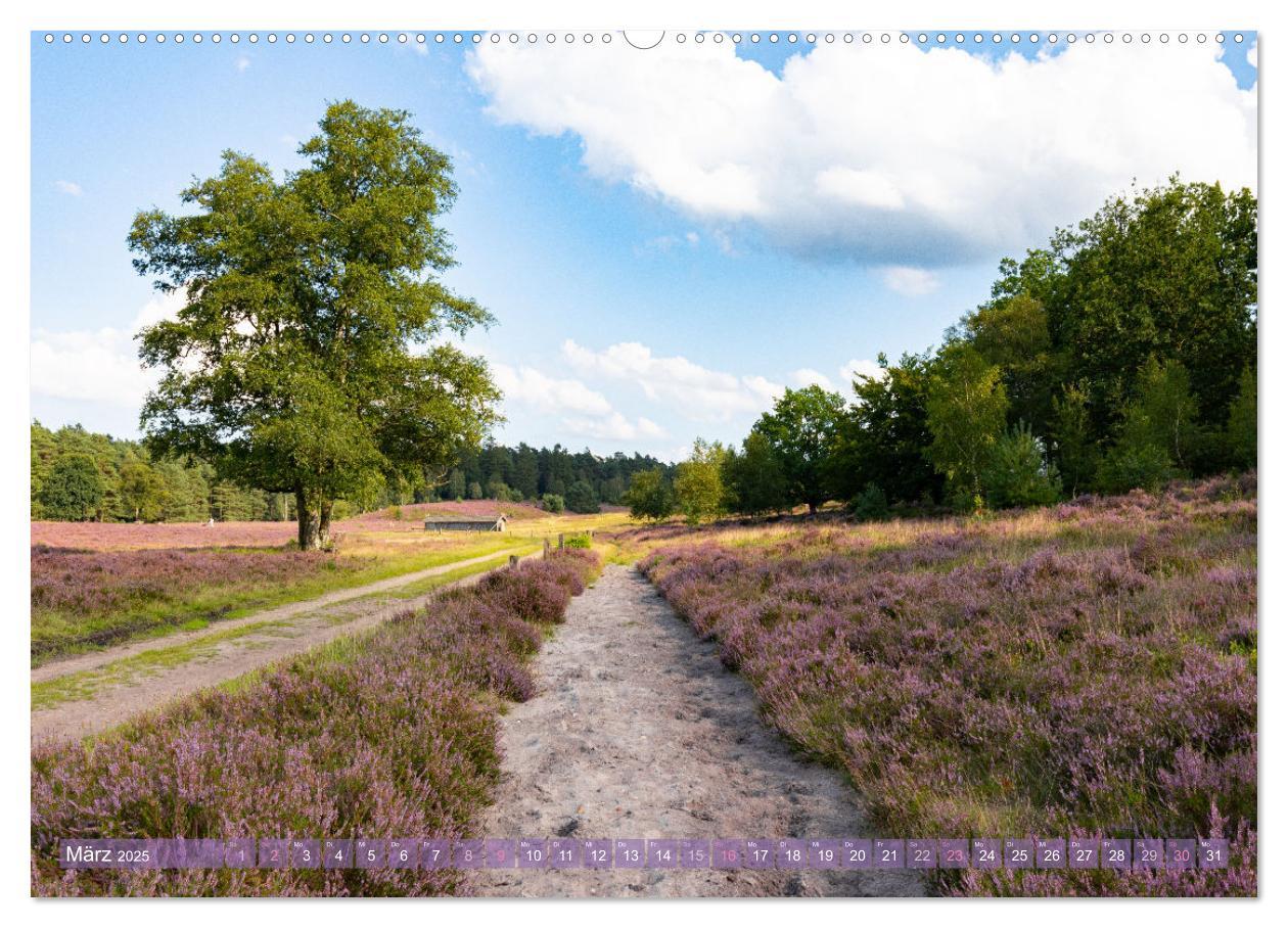 Bild: 9783383831324 | Im Blütenrausch der Lüneburger Heide (Wandkalender 2025 DIN A2...