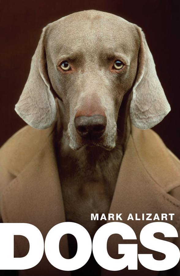 Cover: 9781509537280 | Dogs | A Philosophical Guide to Our Best Friends | Mark Alizart | Buch