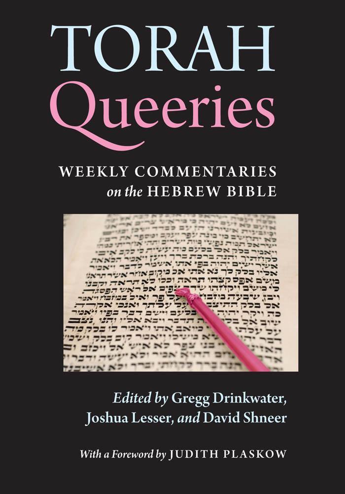 Cover: 9780814769775 | Torah Queeries: Weekly Commentaries on the Hebrew Bible | Taschenbuch