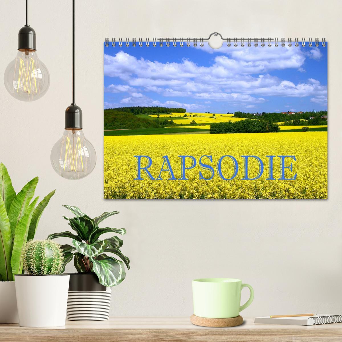 Bild: 9783435471959 | Rapsodie (Wandkalender 2025 DIN A4 quer), CALVENDO Monatskalender