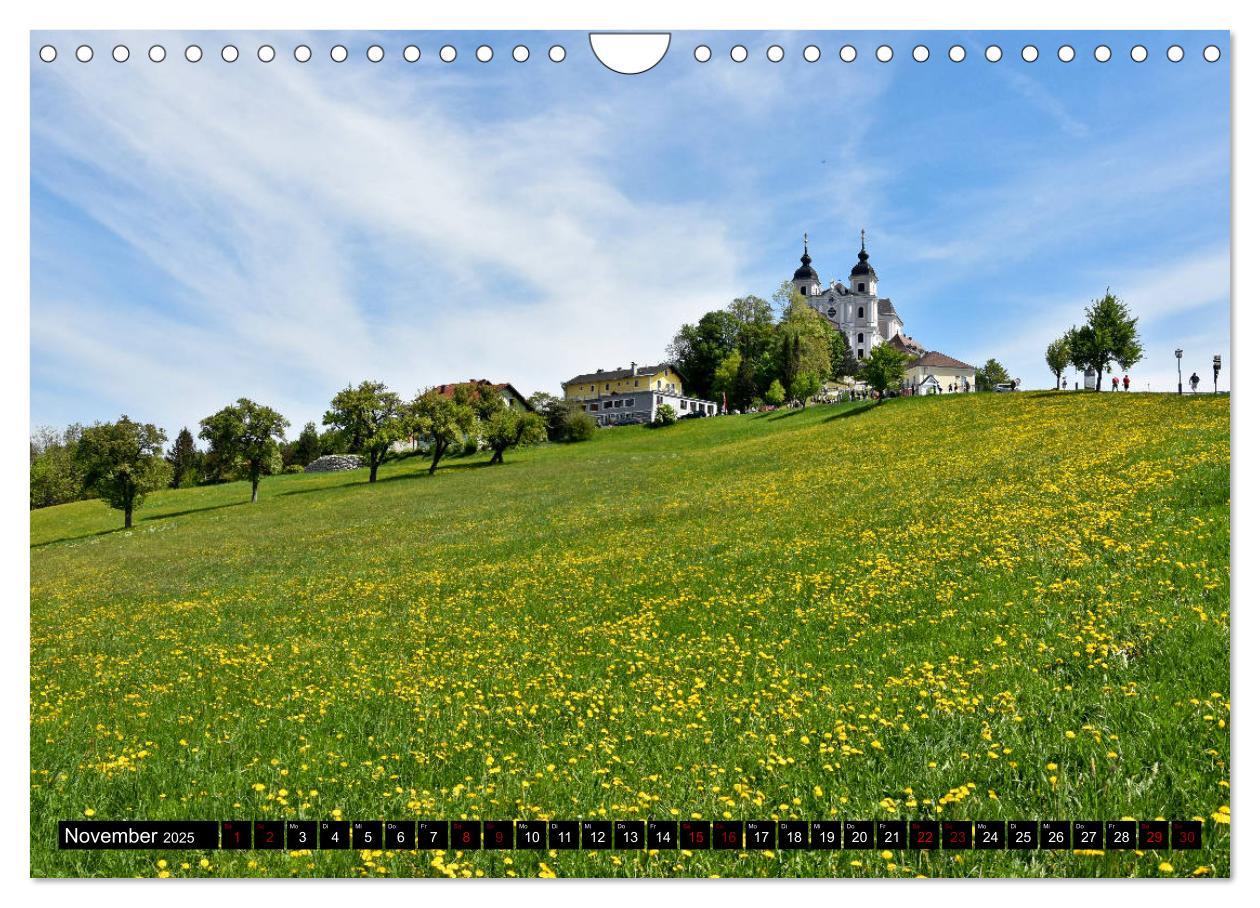 Bild: 9783435288618 | Frühling im Mostviertel (Wandkalender 2025 DIN A4 quer), CALVENDO...