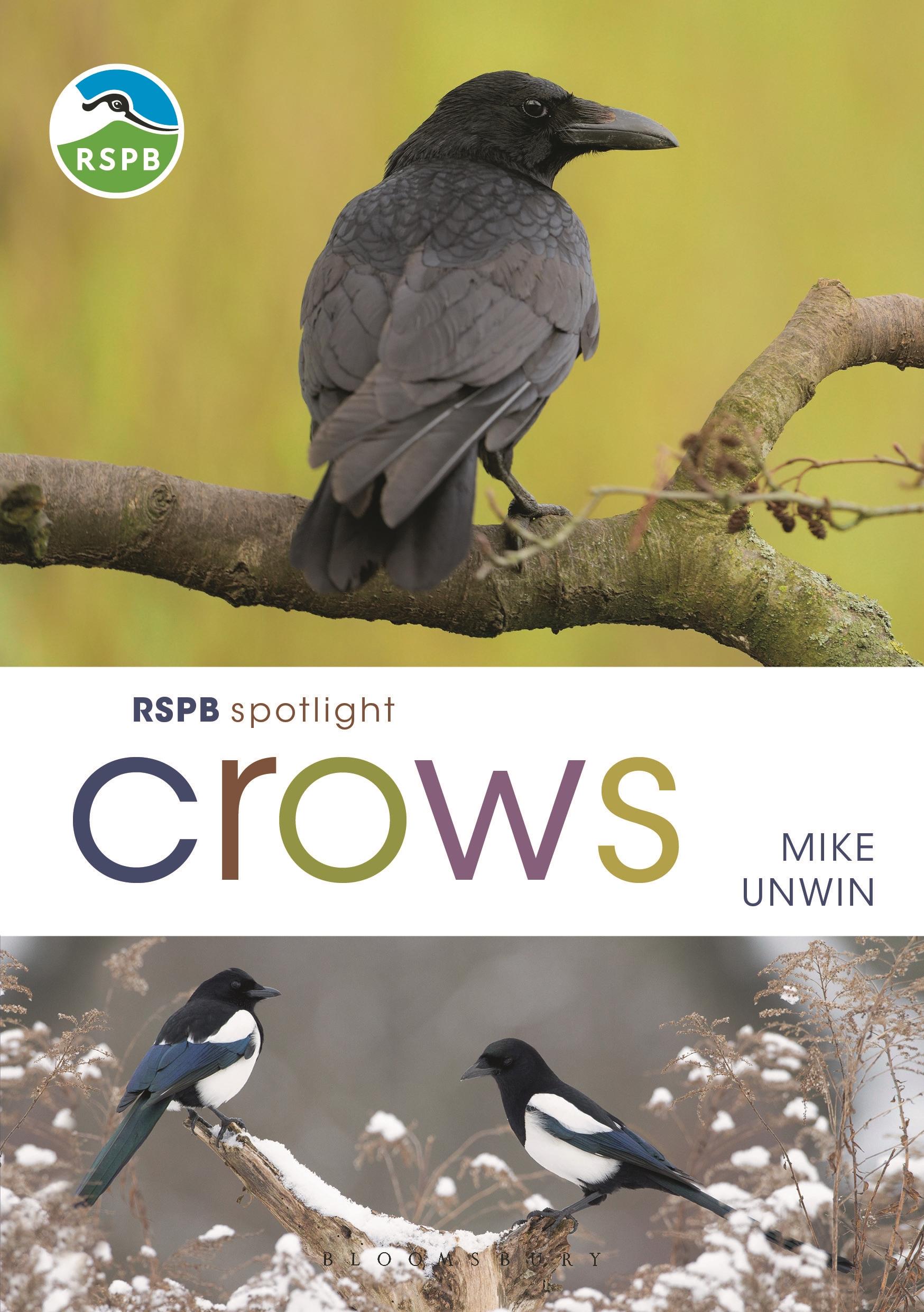 Cover: 9781472971777 | Rspb Spotlight Crows | Mike Unwin | Taschenbuch | Englisch | 2021