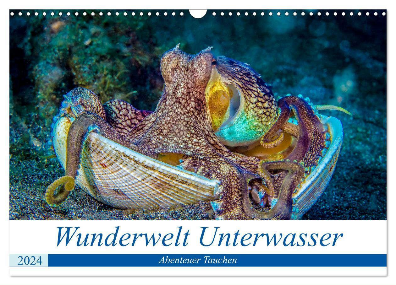 Cover: 9783675685604 | Wunderwelt Unterwasser (Wandkalender 2024 DIN A3 quer), CALVENDO...
