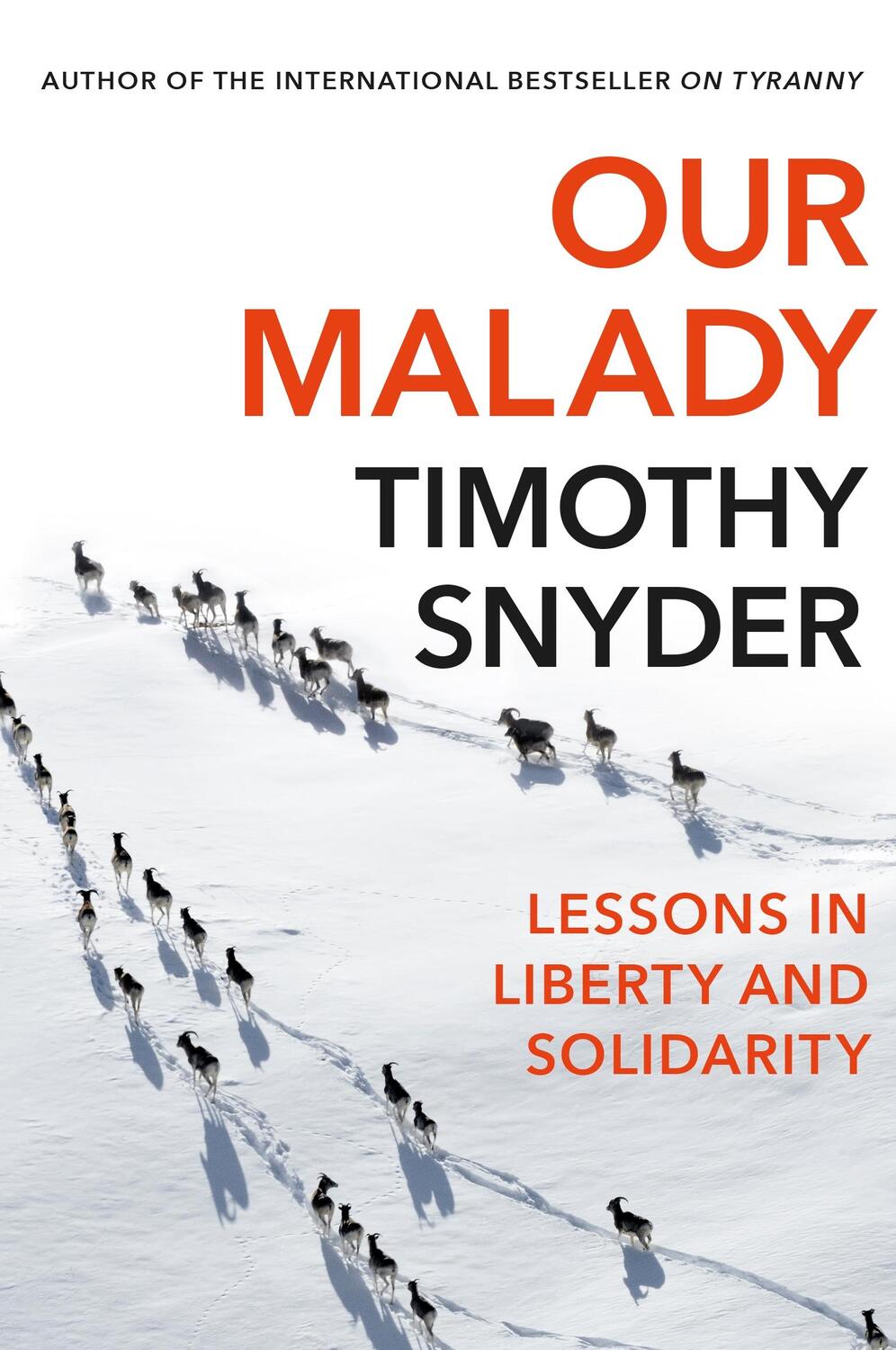 Cover: 9781847926661 | Our Malady | Lessons in Liberty and Solidarity | Timothy Snyder | Buch