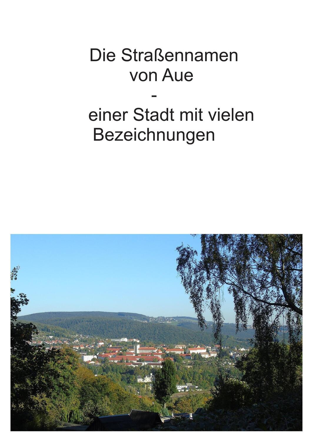 Cover: 9783738658033 | Die Straßennamen von Aue | einer Stadt mit vielen Bezeichnungen | Buch