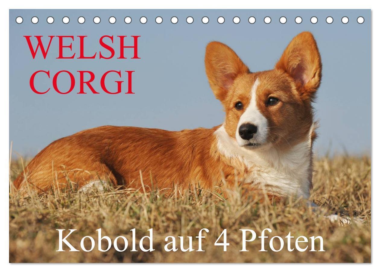 Cover: 9783435669868 | Welsh Corgi - Kobold auf 4 Pfoten (Tischkalender 2025 DIN A5 quer),...