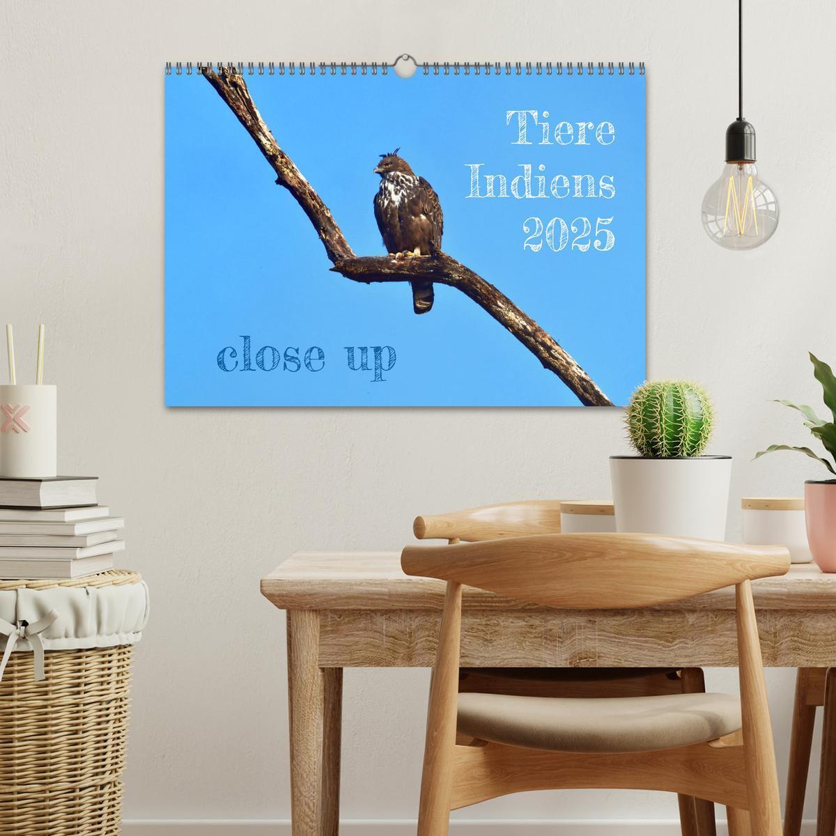 Bild: 9783435817092 | Tiere Indiens close up (Wandkalender 2025 DIN A3 quer), CALVENDO...