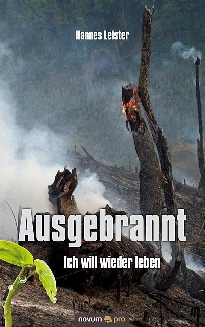 Cover: 9783850229586 | Ausgebrannt - Ich will wieder leben | Hannes Leister | Taschenbuch