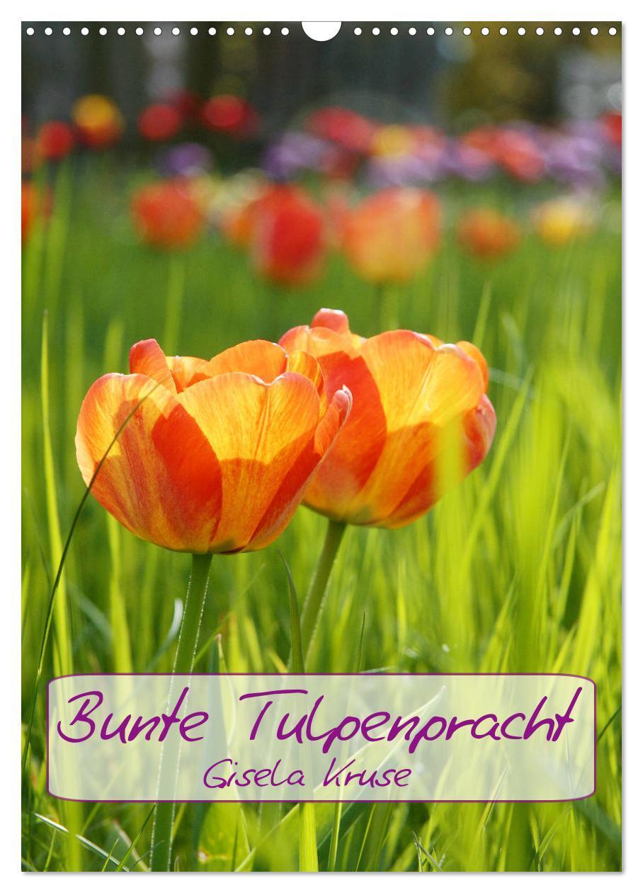 Cover: 9783383009938 | Bunte Tulpenpracht (Wandkalender 2024 DIN A3 hoch), CALVENDO...