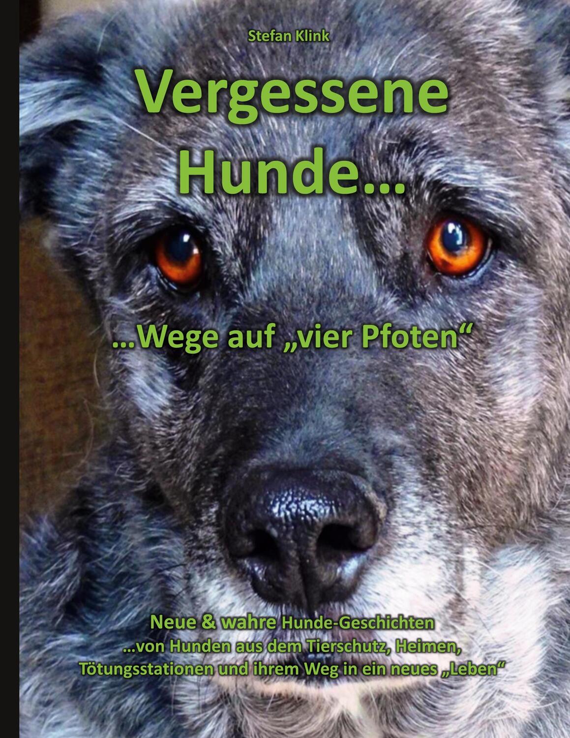Cover: 9783758327018 | Vergessene Hunde | ...Wege auf "vier Pfoten" | Stefan Klink | Buch