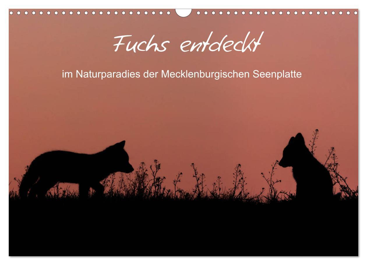 Cover: 9783435268146 | Fuchs entdeckt - im Naturparadies der Mecklenburgischen Seenplatte...