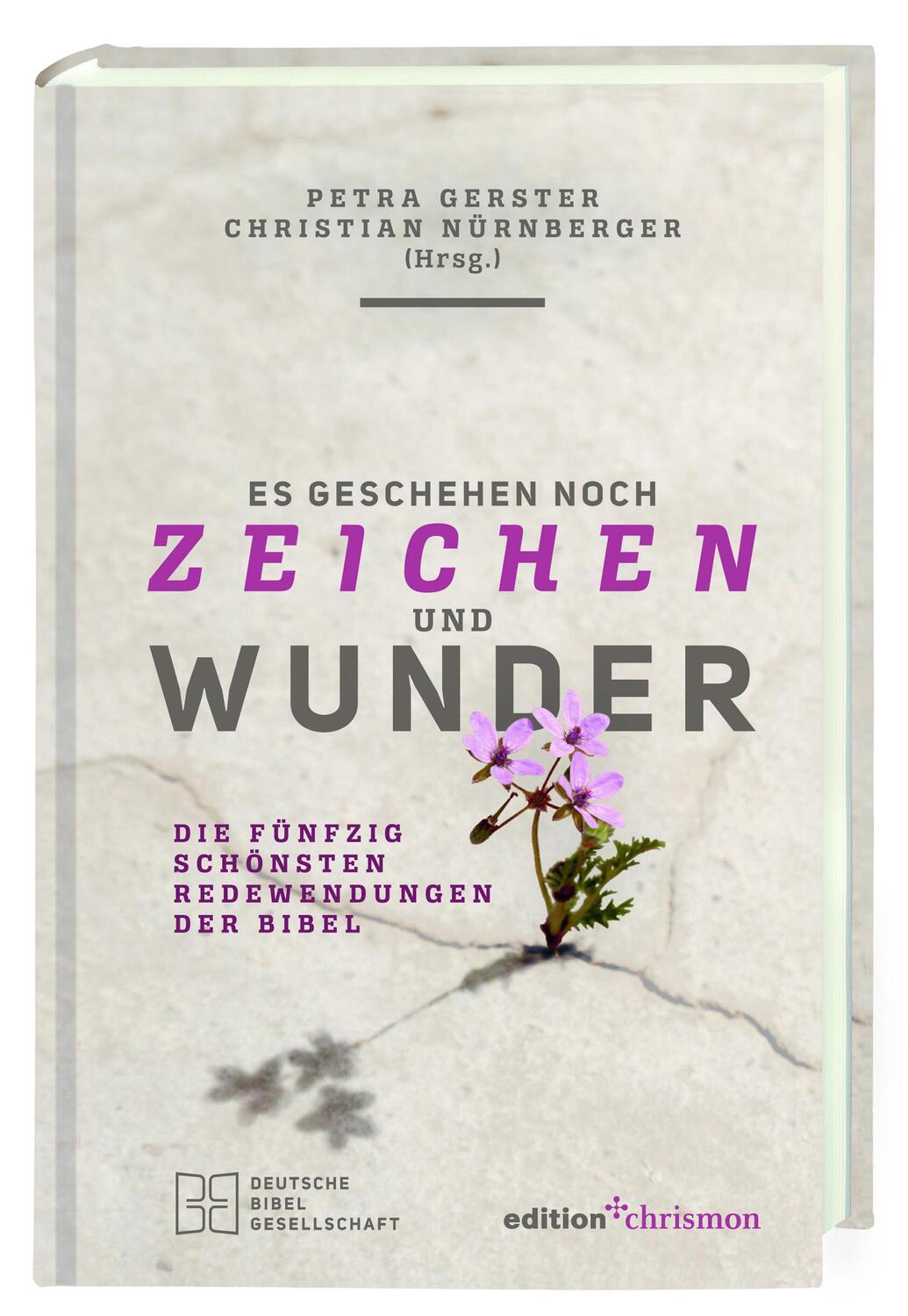 Cover: 9783438062895 | Es geschehen noch Zeichen und Wunder | Petra Gerster (u. a.) | Buch