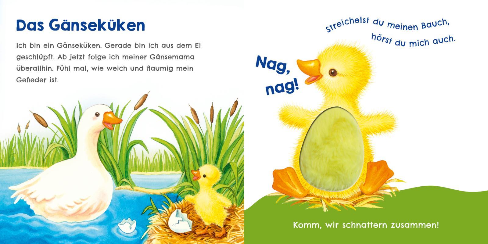 Bild: 9783551254009 | Hör mal, wie ich schnattern kann (Mein erstes Streichel-Soundbuch 1)