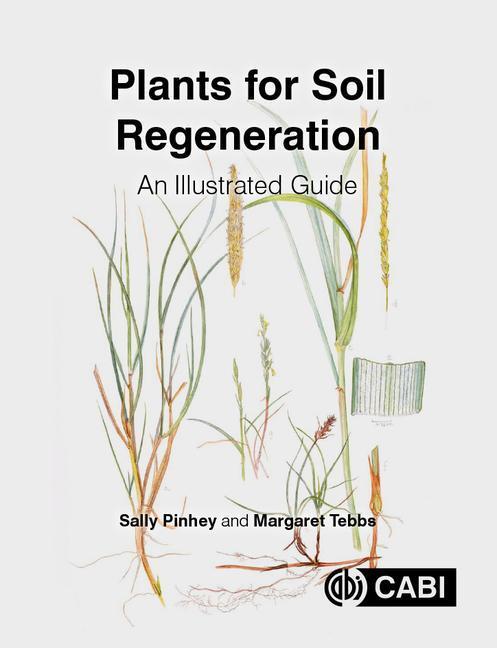 Cover: 9781789243604 | Plants for Soil Regeneration | An Illustrated Guide | Pinhey (u. a.)
