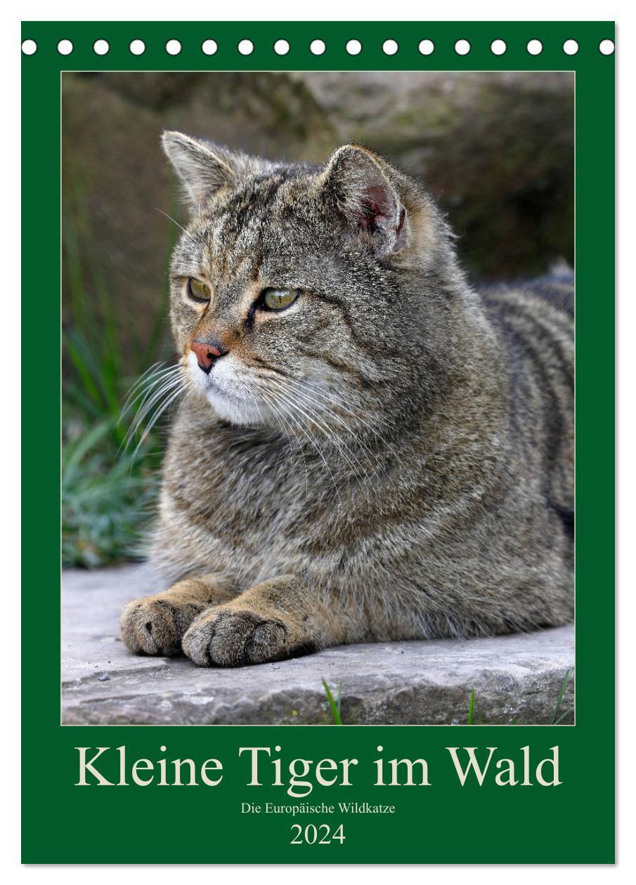 Cover: 9783383012129 | Kleine Tiger im Wald (Tischkalender 2024 DIN A5 hoch), CALVENDO...