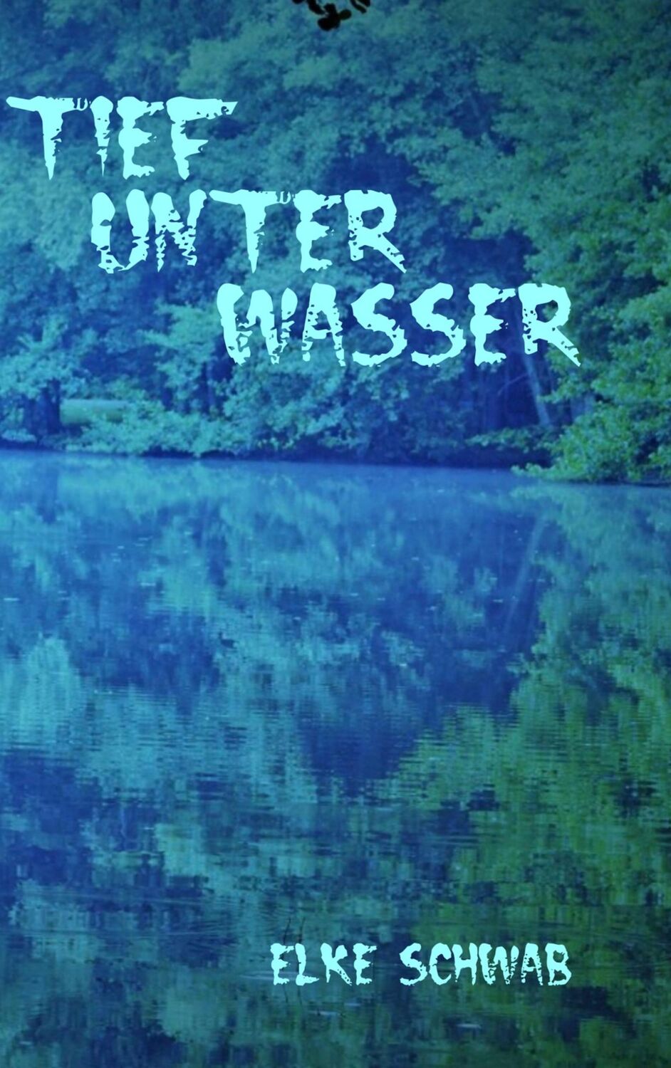 Cover: 9783752897586 | Tief unter Wasser | Südwestdeutscher Krimi | Elke Schwab | Taschenbuch