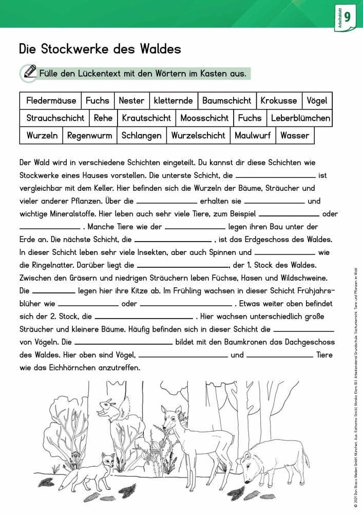 Bild: 9783769825282 | Arbeitsmaterial Grundschule. Sachunterricht. Tiere und Pflanzen im...