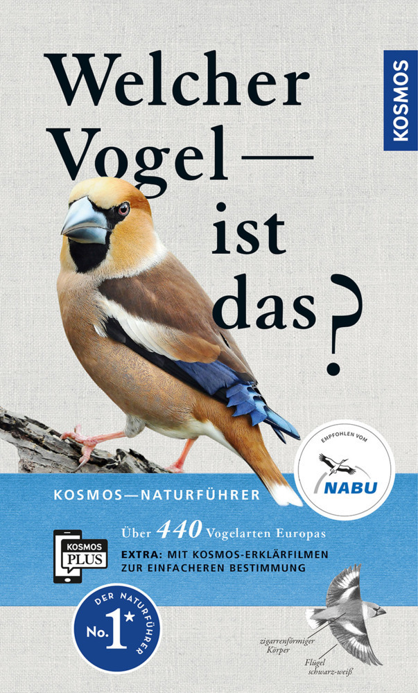 Cover: 9783440164518 | Welcher Vogel ist das? | Volker Dierschke | Taschenbuch | 256 S.