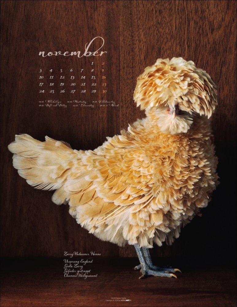 Bild: 9783839901045 | Pretty Chicks Kalender 2025 | Tamara Staples | Kalender | 14 S. | 2025