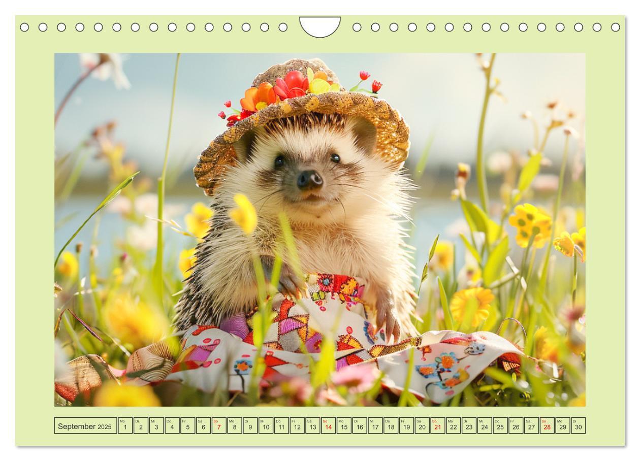 Bild: 9783435639939 | Zauberhafte Igel-Models. Blumiger Stil in der Natur (Wandkalender...