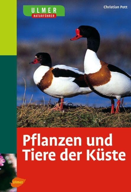 Cover: 9783800148905 | Ulmer Naturführer Pflanzen und Tiere der Küste | Sonderausgabe | Pott