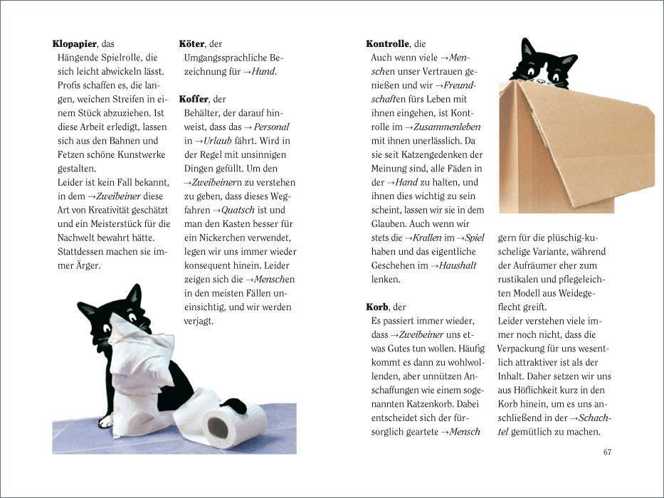 Bild: 9783458363057 | Wie wir Katzen die Welt sehen | Hermien Stellmacher (u. a.) | Buch