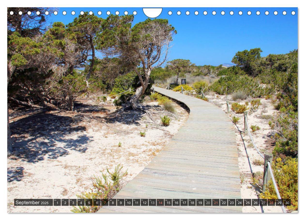 Bild: 9783435564842 | Formentera - Urlaub für die Seele (Wandkalender 2025 DIN A4 quer),...