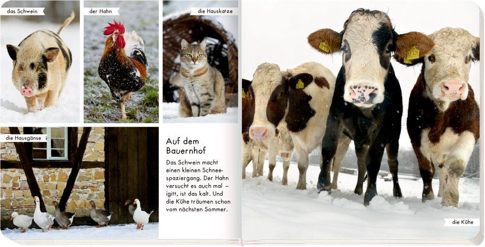 Bild: 9783649639190 | Meine liebsten Tiere im Winter | Buch | Deutsch | 2021 | Coppenrath