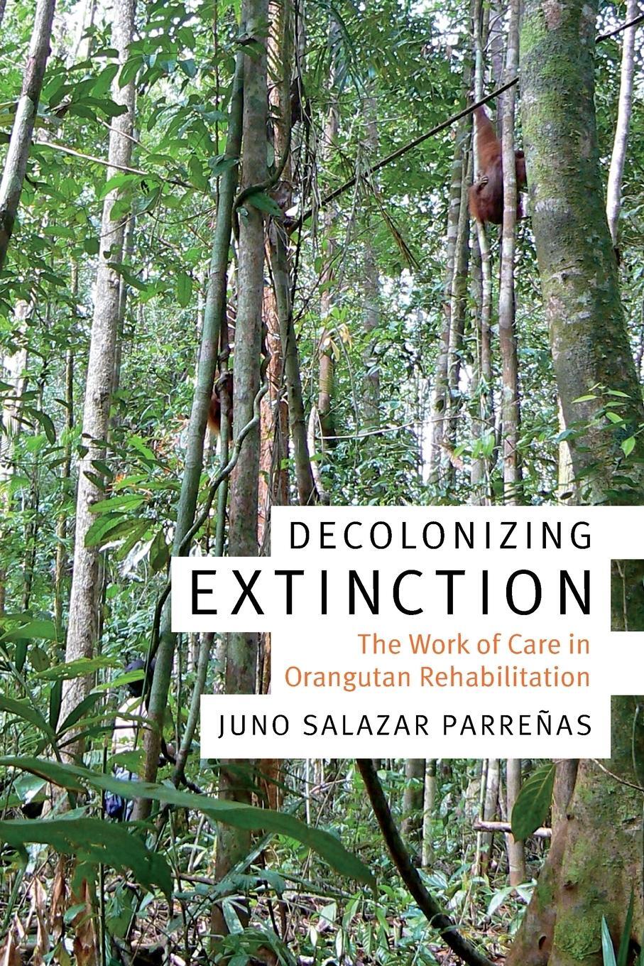 Cover: 9780822370772 | Decolonizing Extinction | The Work of Care in Orangutan Rehabilitation