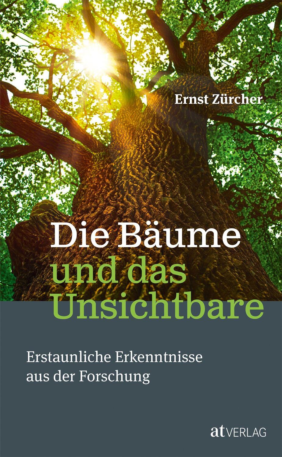 Cover: 9783038009252 | Die Bäume und das Unsichtbare | Ernst Zürcher | Buch | Deutsch | 2016
