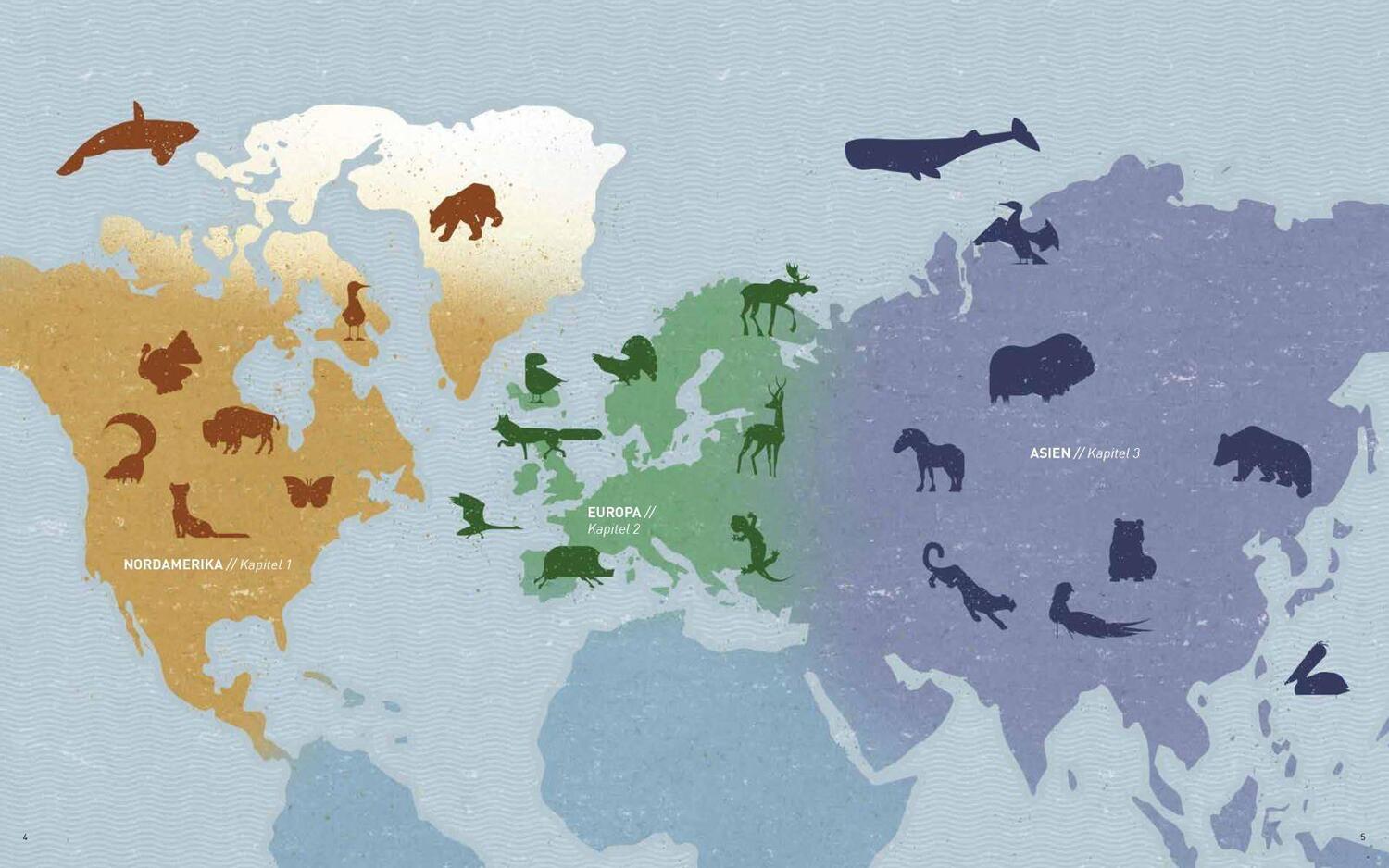 Bild: 9783868738223 | Die Welt der wilden Tiere | Im Norden | Dieter Braun | Buch | Deutsch