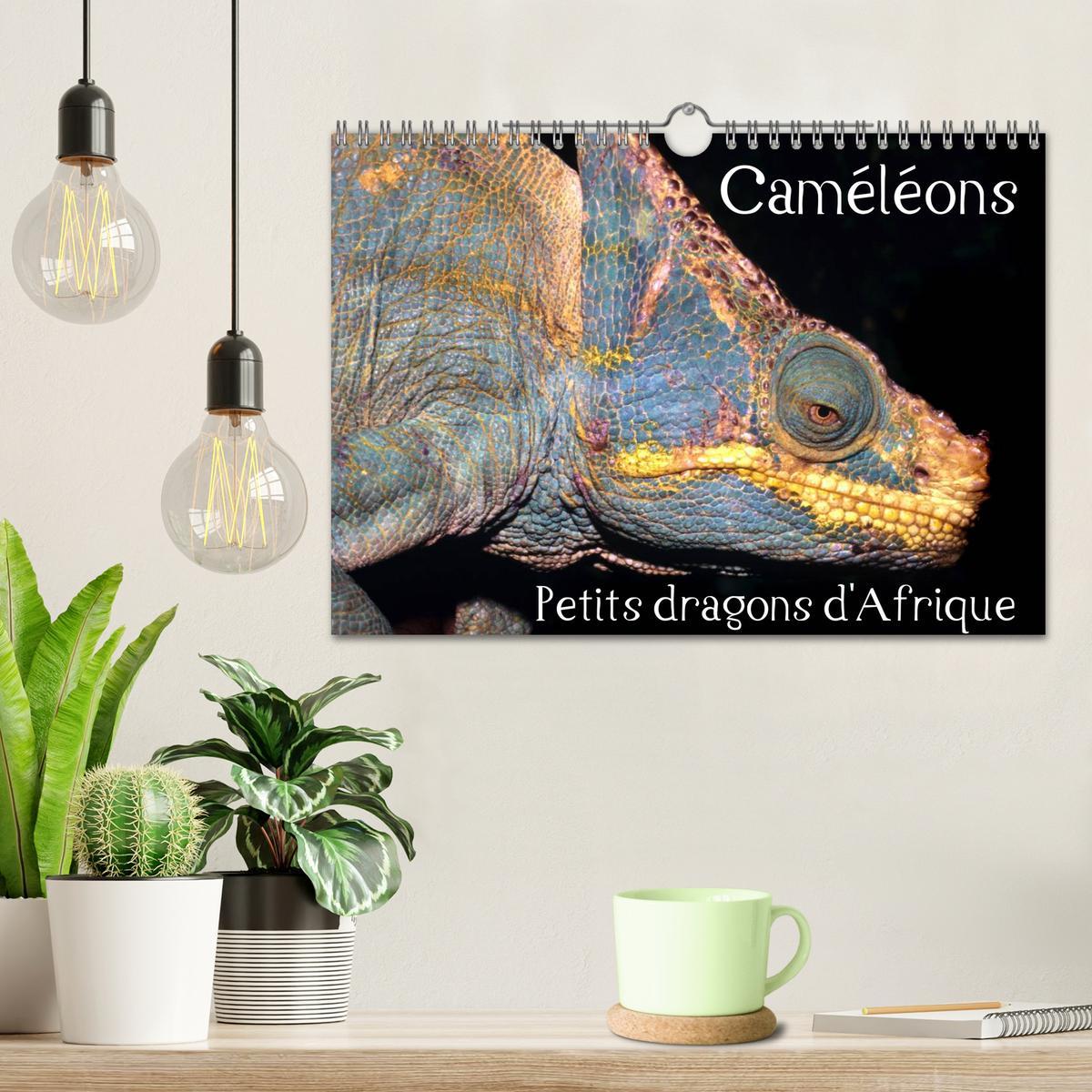 Bild: 9781325954483 | Caméléons - Petits dragons d'Afrique. (Calendrier mural 2025 DIN A4...