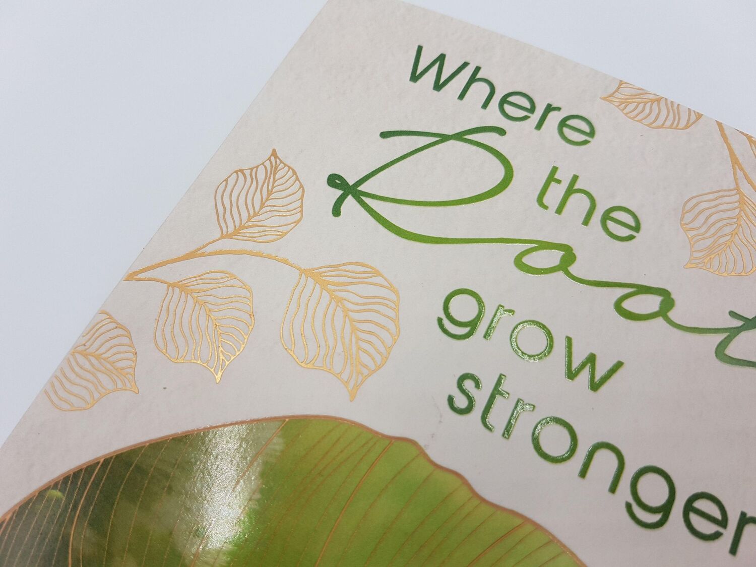 Bild: 9783492062916 | Where the Roots Grow Stronger | Kathinka Engel | Taschenbuch | 384 S.