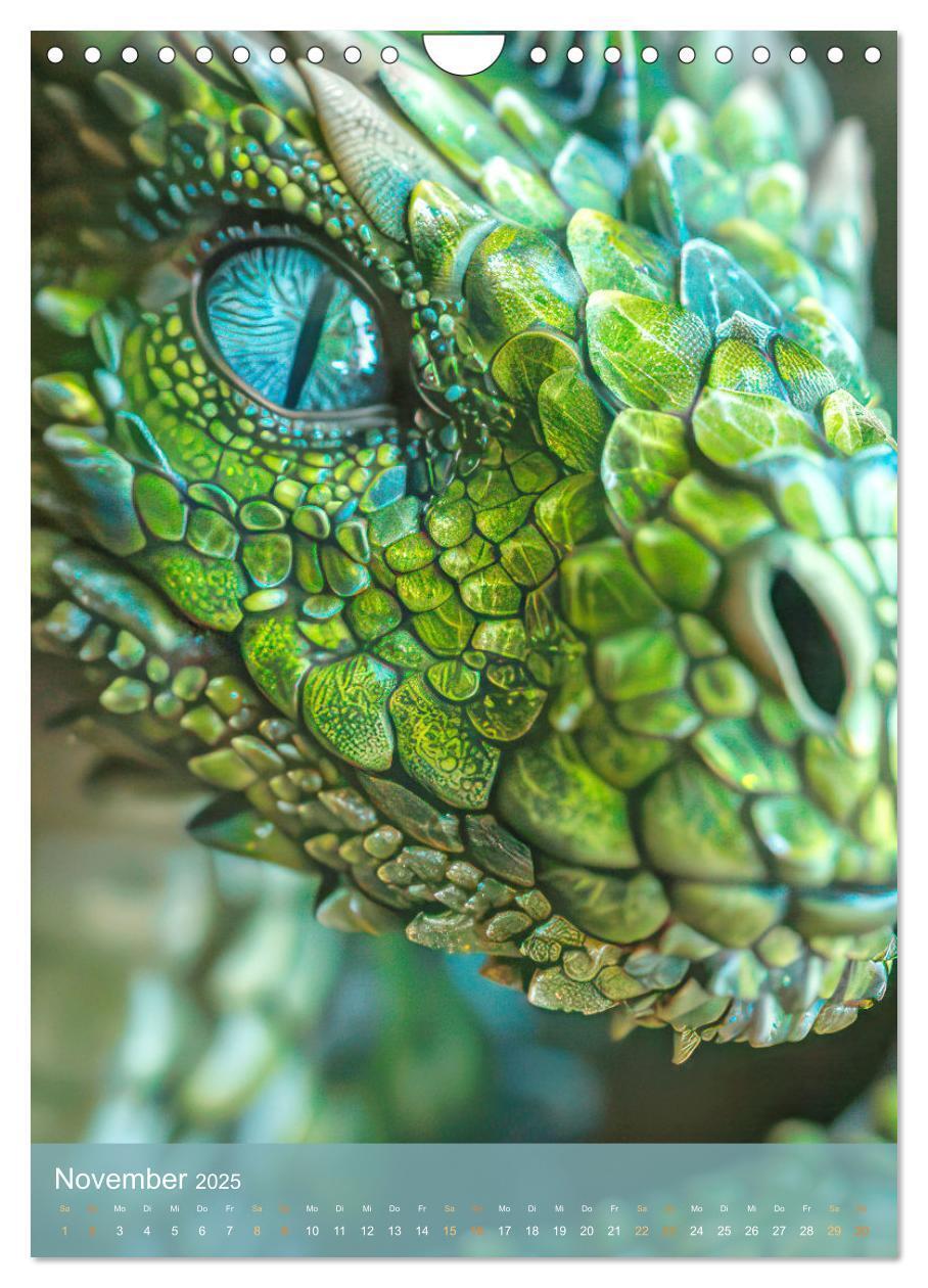 Bild: 9783457070970 | Drachen - Im Fantasieland gesichtet (Wandkalender 2025 DIN A4...