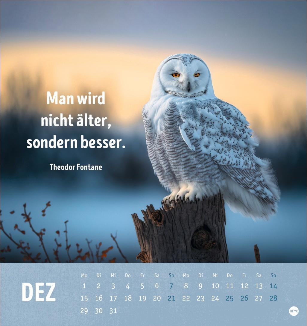 Bild: 9783756407187 | Alt! Aber gut drauf Postkartenkalender 2025 - Der tierische...