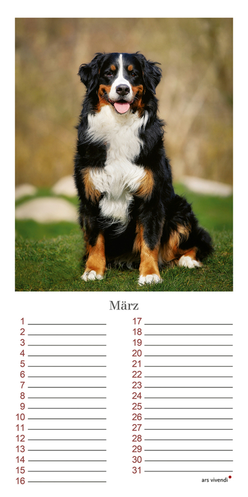 Bild: 9783747203965 | Geburtstagskalender Hunde | Immerwährender Kalender | Verlag | 12 S.