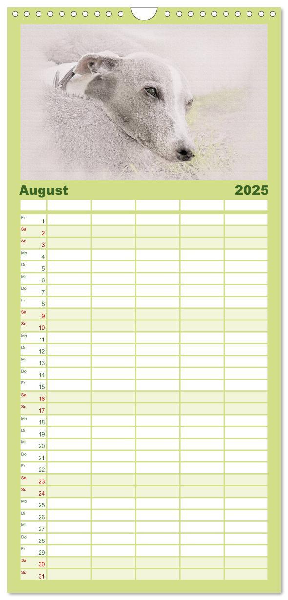 Bild: 9783457121146 | Familienplaner 2025 - Whippet 2025 mit 5 Spalten (Wandkalender, 21...