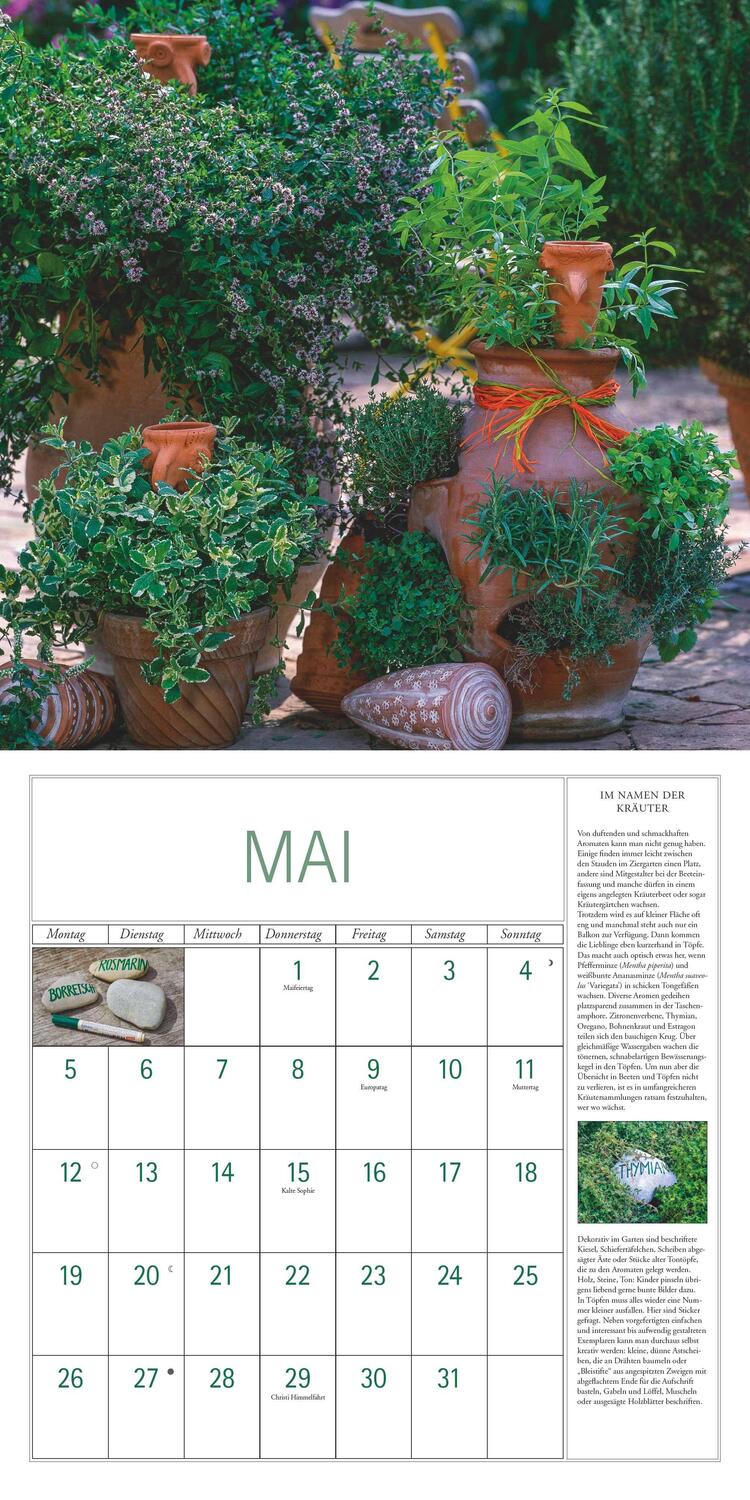 Bild: 4250809652771 | DuMonts Kräuter-Kalender 2025 - Broschürenkalender - mit Texten und...