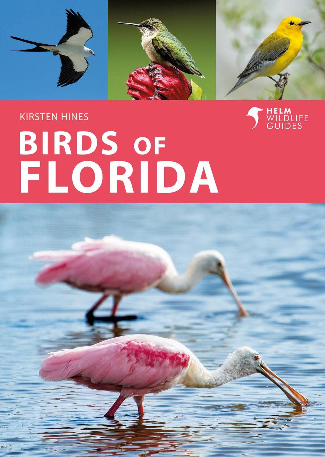 Cover: 9781472993359 | Birds of Florida | Kirsten Hines | Taschenbuch | Englisch | 2024