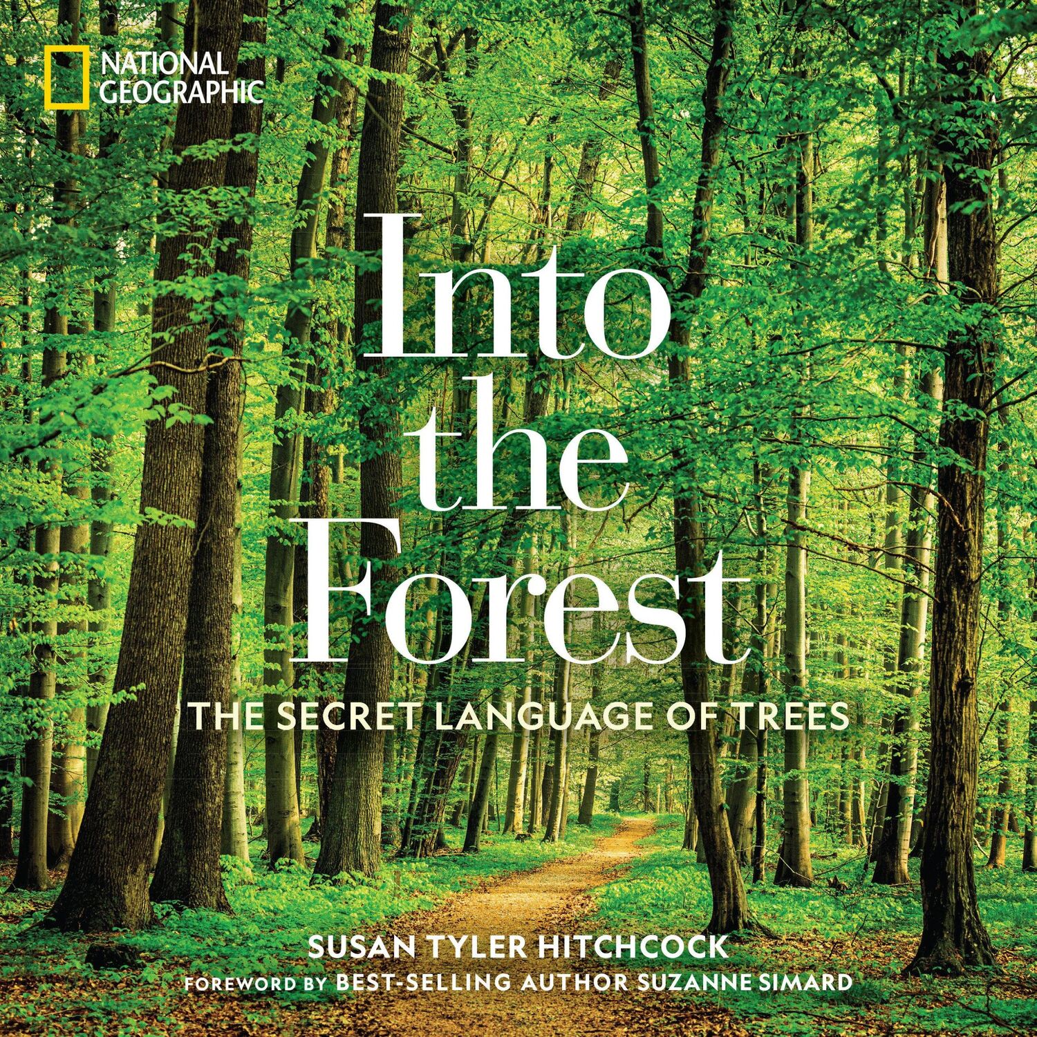 Cover: 9781426218903 | Into the Forest | The Secret Language of Trees | Susan Tyler Hitchcock