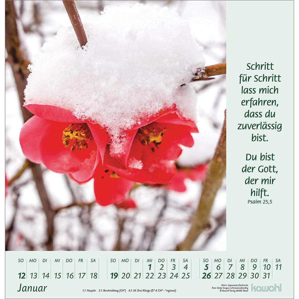 Bild: 9783754826058 | Blumengrüße 2025 | Kalender mit Bibelworten und Blumenbildern | 14 S.