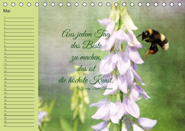 Bild: 9783660485752 | Spruchreifer Geburtstagskalender (Tischkalender immerwährend DIN A5...