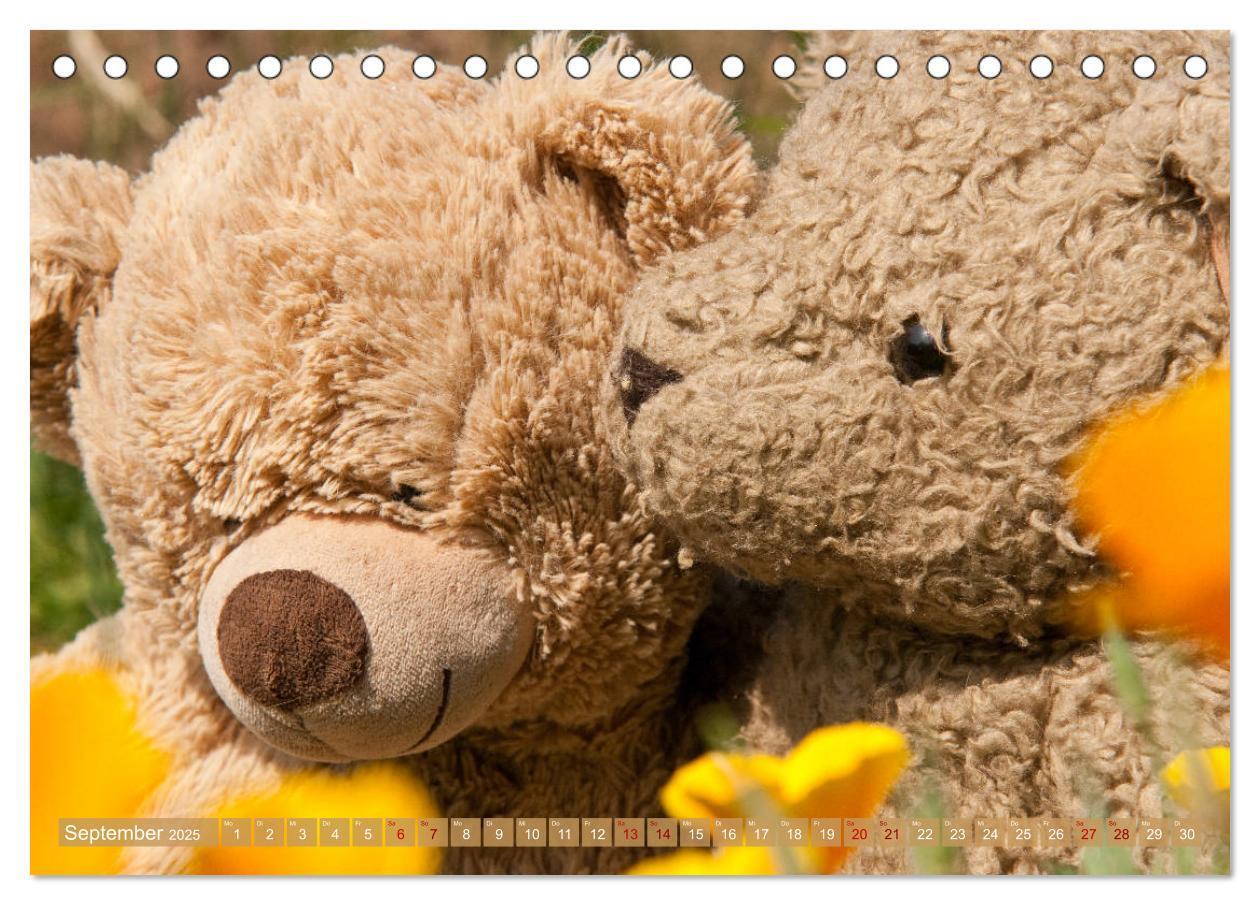 Bild: 9783435410842 | Kunterbunte Bärenwelt - Teddys (Tischkalender 2025 DIN A5 quer),...