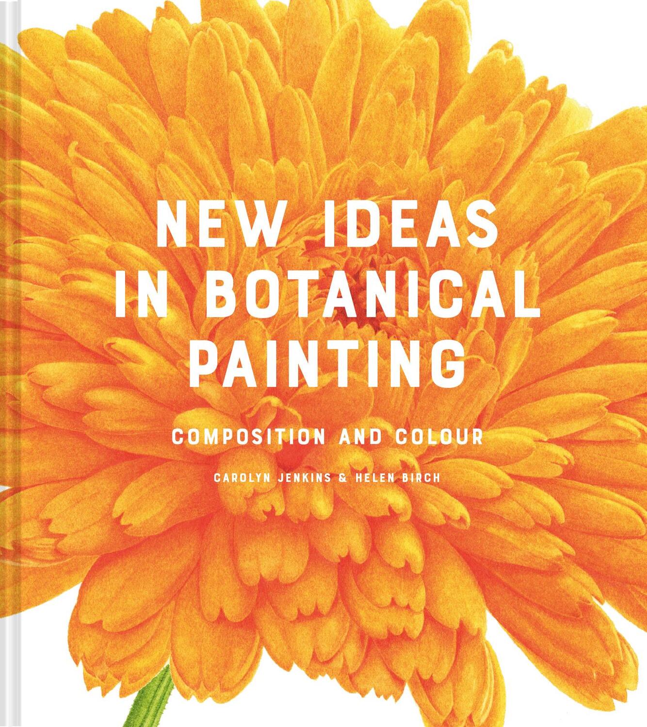 Cover: 9781849946629 | New Ideas in Botanical Painting | composition and colour | Buch | 2022