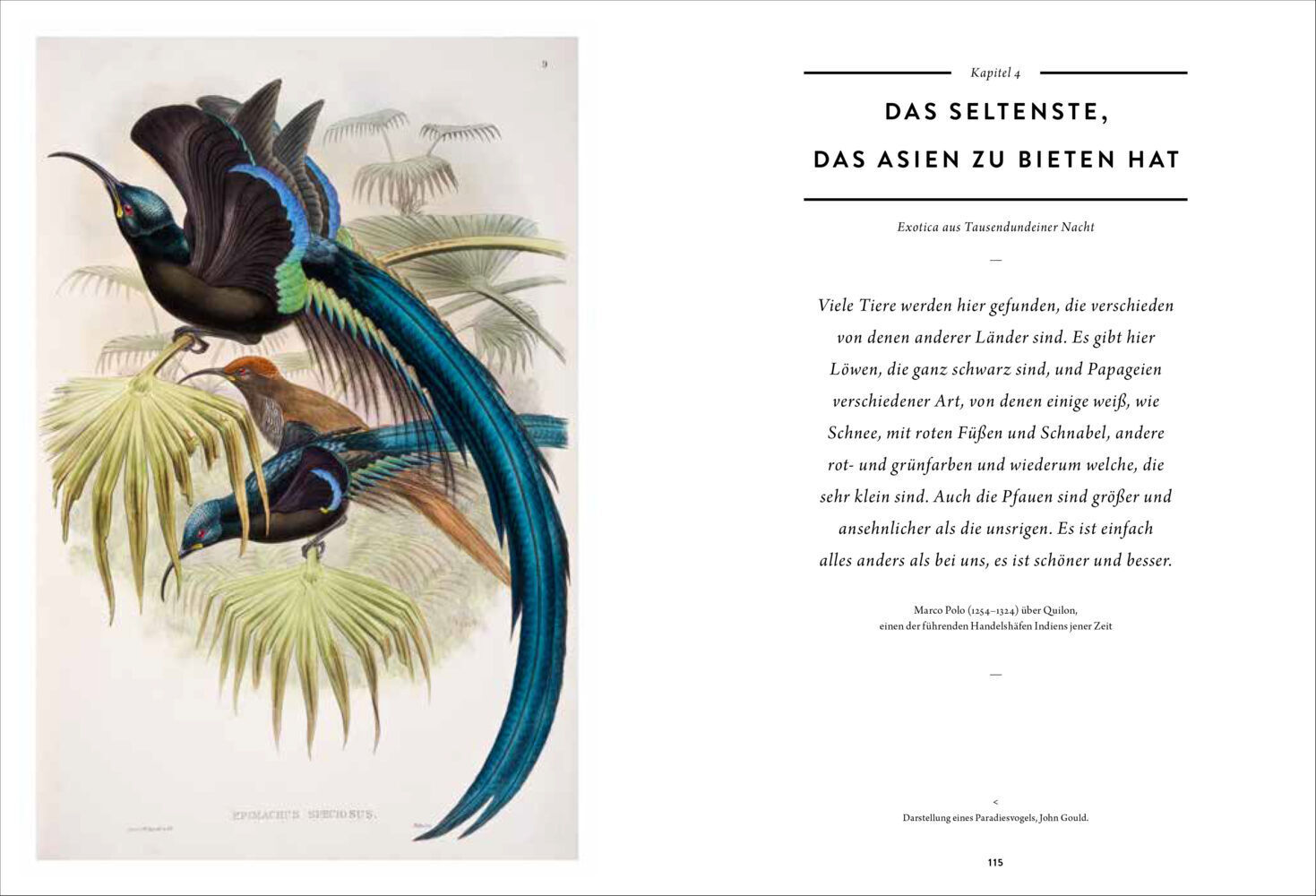 Bild: 9783791384924 | Wunderkammer | Eine Reise zu exotischen Kuriositäten-Sammlungen | Buch