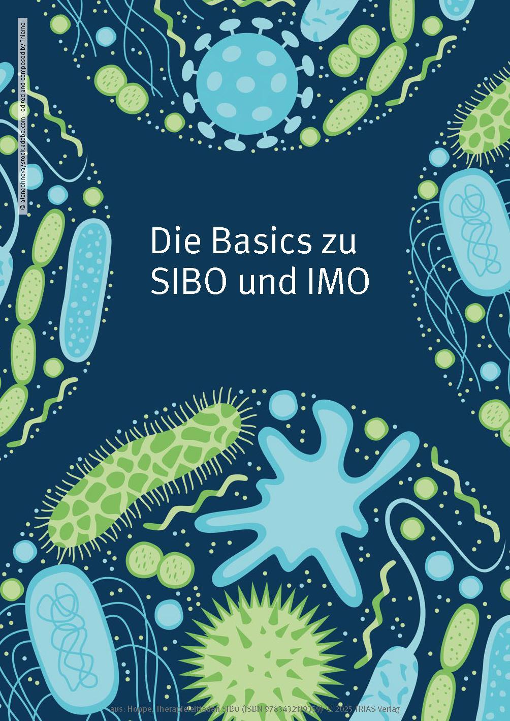 Bild: 9783432119359 | Therapieleitfaden SIBO | Gabriela Hoppe | Taschenbuch | 248 S. | 2025