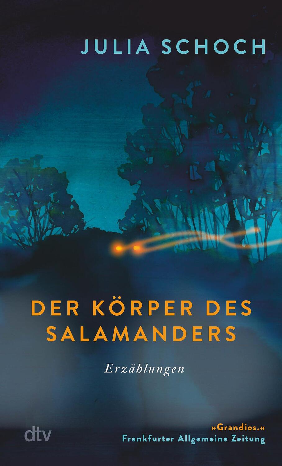 Cover: 9783423148528 | Der Körper des Salamanders | Julia Schoch | Taschenbuch | 192 S.